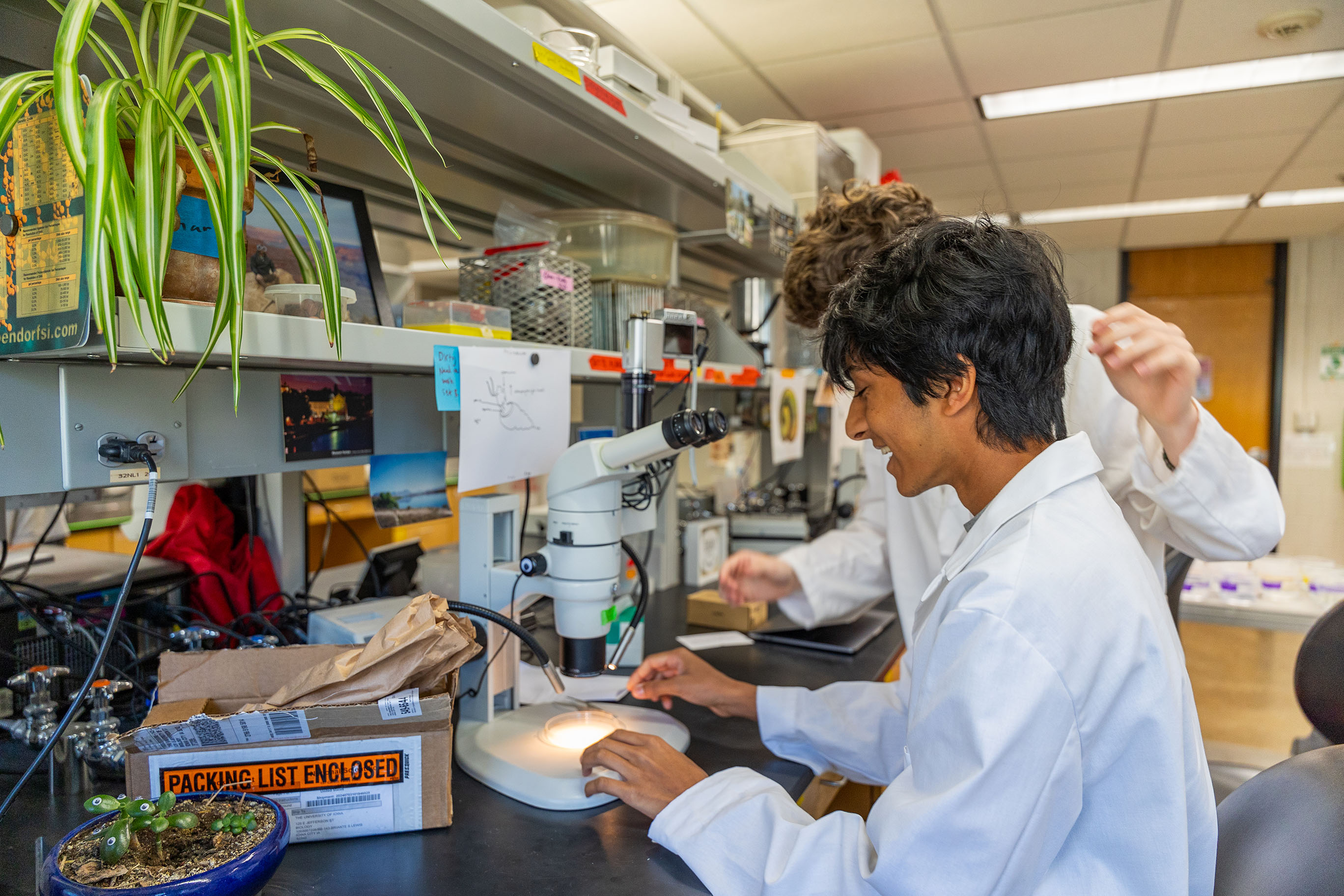A student looking through a microscope in a research lab